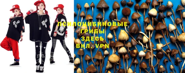 a pvp Абинск