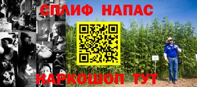 прущие грибы Свободный