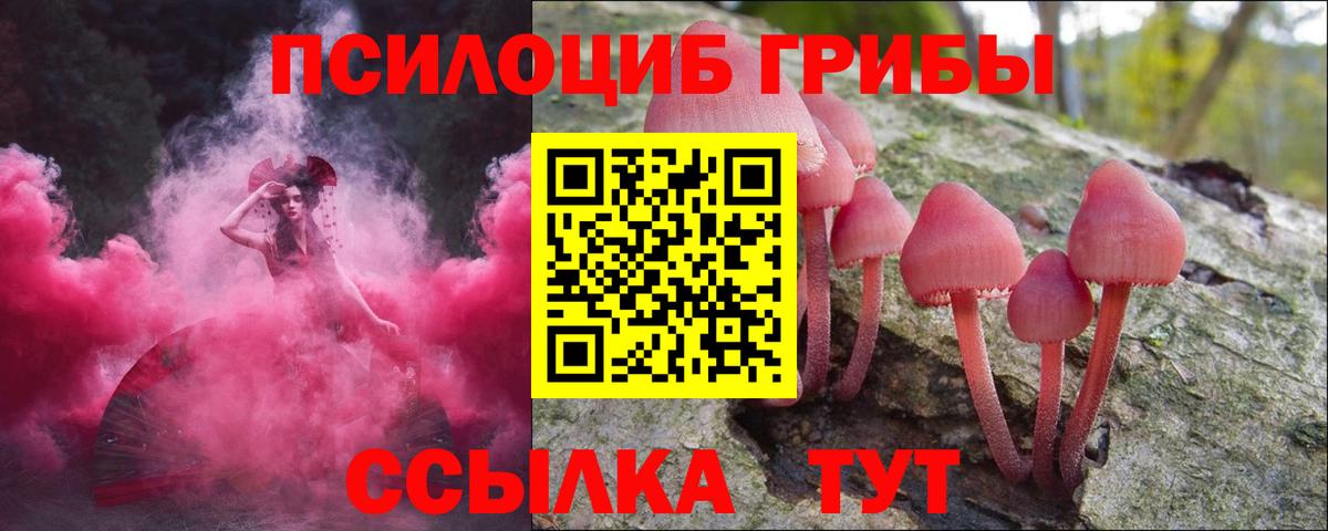 Псилоцибиновые грибы Psilocybe  Вход с VPN  Псилоцибиновые грибы Psilocybine cubensis  Альметьевск 